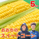 【ふるさと納税】 とうもろこし 朝どり 5kg スイートコーン 甘い おおもの 《 2025年6月～順次発送 》 大粒 コーン サラダ 野菜 やさい 新鮮 サラダ 醤油 バター 砂糖 焼き肉 焼肉 バーベキュー BBQ キャンプ アウトドア 天ぷら スープ コーンスープ 先行予約 徳島県 阿波市