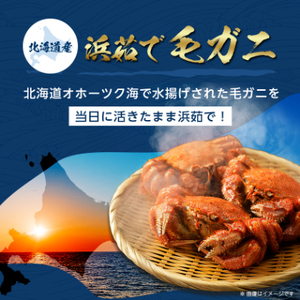北海道産　浜茹で毛ガニ　570g前後×2尾【配送不可地域：離島・沖縄県】【1664344】