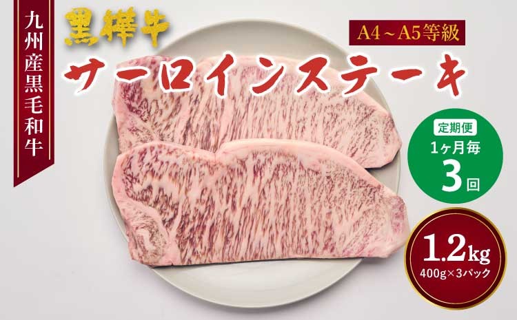 
            ステーキ 【3回定期便】A4-A5等級 サーロインステーキ 計1.2kg （200g×2パック）×3回 牛肉  サーロイン BBQ アウトドア キャンプ 和牛 黒毛和牛 霜降り 冷凍 九州産黒毛和牛 杉本本店 黒樺牛 
          