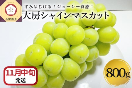 【2025年11月中旬発送】 シャインマスカット 大房 800g 青森産