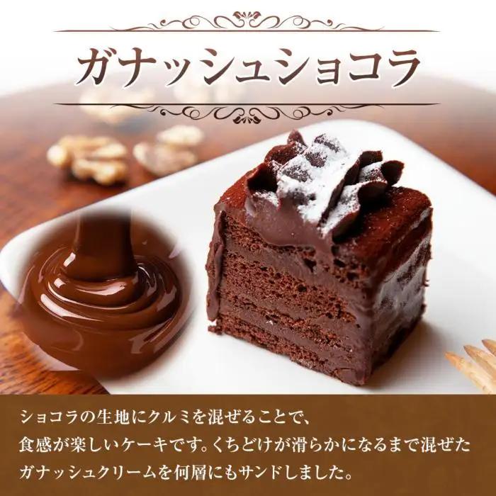 新潟県 南魚沼市 ガナッシュショコラ 計1個 ケーキ チョコレートケーキ チョコレート ショコラ 洋菓子 お菓子 菓子 手土産 スイーツ 贈り物 ギフト