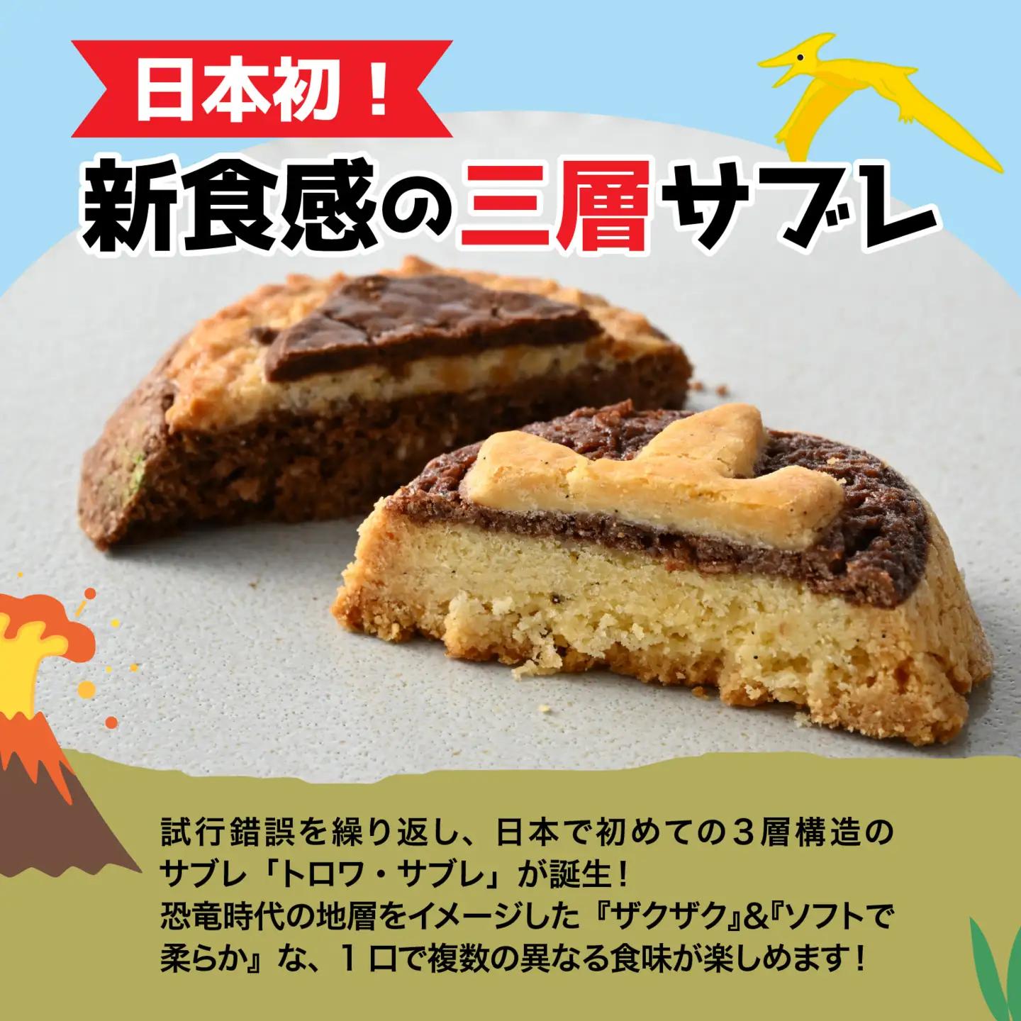 恐竜サブレ缶（大）【恐竜サブレ缶(草食恐竜) 】 [A-135006_02] 