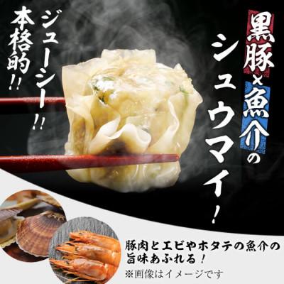 ふるさと納税 志布志市 鹿児島県志布志産黒豚使用 南国熊曽黒豚五目シュウマイ 計40個(10個×4パック) |  | 02