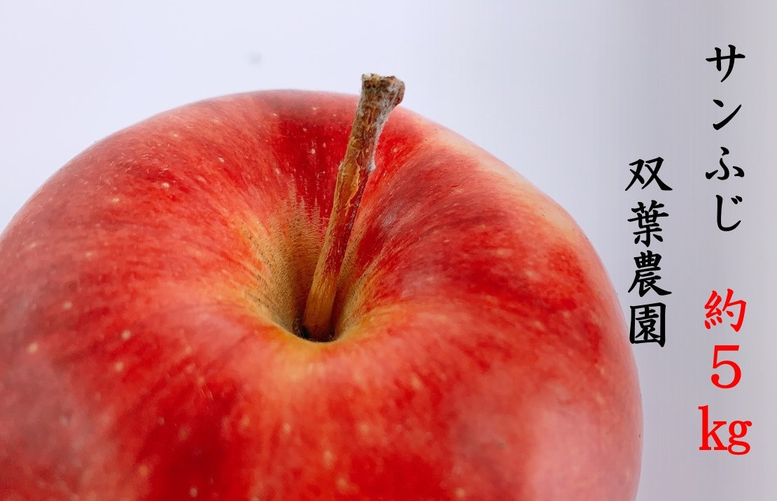
                  266 先行予約 りんご サンふじ5㎏【双葉農園】
                
