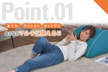 環境にやさしいリボーンクッション　バックレストクッション(ウォームレッド) NI040_003-02