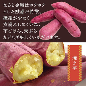 さつまいも なると金時「甘姫」約5kg　貯蔵  1週間以内に発送