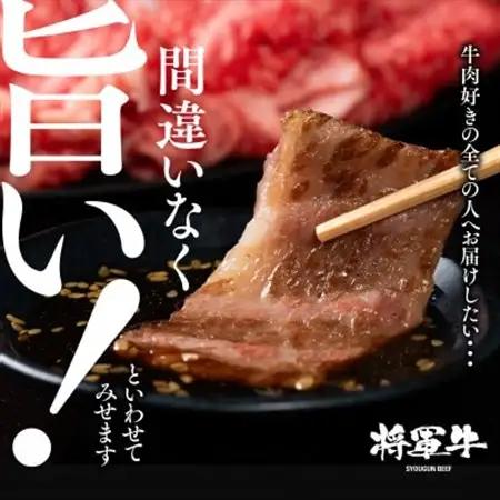 【将軍牛】特選焼肉セット ロース カルビ もも 3種類 1kg【配送不可地域：離島・北海道・沖縄県】【1652120】