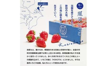 【3月発送】とちおとめ特選デラックス（10～22粒）2箱