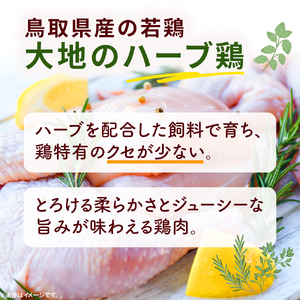 【鳥取県産 大地のハーブ鶏】 スパイスチキン 焼肉 500g KC235 もも肉 鶏肉 チキン