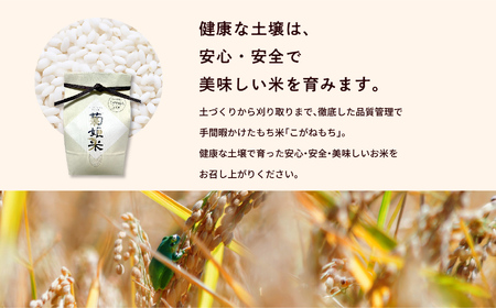 菊姫米　高級ブランドもち米こがねもち使用　もち米5kg【ADATARAふぁーむ】