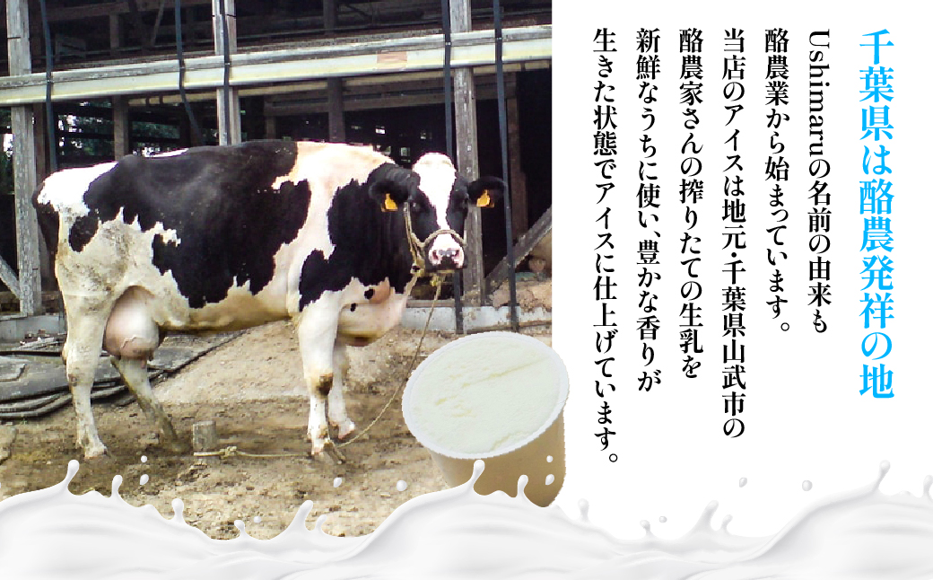 Ushimaru自家製アイス5個入（ミルク）/ふるさと納税 アイス アイスクリーム ミルクアイス スイーツ おやつ 添加物不使用 無添加 生乳 山武市 千葉県    SMBM014