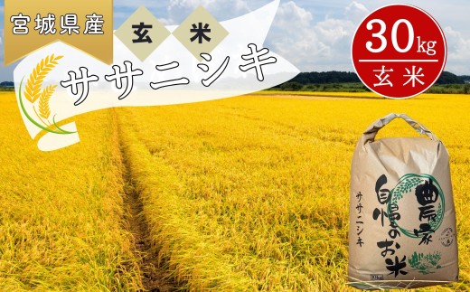 【先行予約】【 令和8年産米】  ササニシキ 玄米 30kg × 1袋 ささにしき 【2026年10月中旬～順次発送】米 ご飯 ごはん おにぎり お弁当 令和8年産 お米 おこめ 宮城県 東松島市 オンラインワンストップ 自治体マイページ ㈱パスカファーム立沼 C