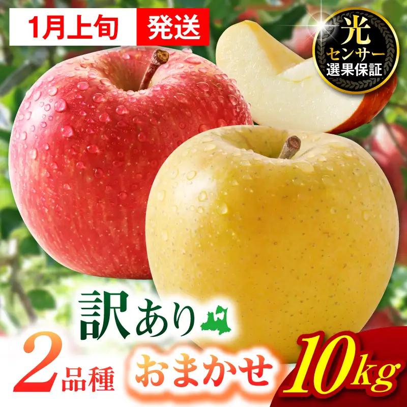 【2027年1月上旬発送】【訳あり】 旬の美味しい りんご 約10kg 青森産 【おまかせ2品種】 りんご