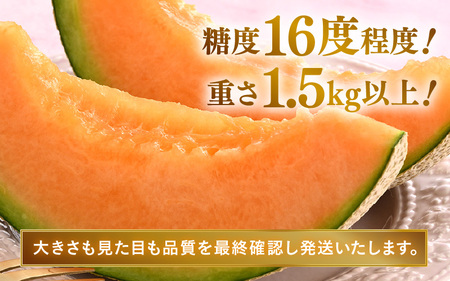 【先行予約】赤肉パリスメロン 秀品 2玉（1.5kg以上×2玉）【アールス系赤肉メロン】《糖度16度程度！1株1果採りで育てる高級メロン！》／ 果物 フルーツ 農家直送 赤肉 マスクメロン アールスメ