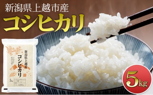 【先行予約　10月中旬より順次出荷】　令和7年度産　新潟県上越市産　コシヒカリ5kg 米 新米 こしひかり ご飯 精米 お米 新潟