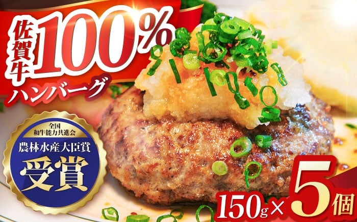 
【農林水産大臣賞】佐賀牛 ハンバーグ 5個セット【田中畜産牛肉店】 [HBH038]
