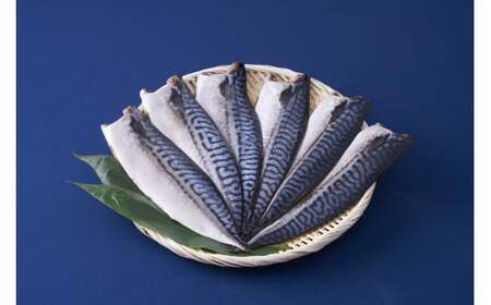 こだわり熟成干物さば一夜干し×6P 鯖 サバ一夜干し さば干物 熟成 こだわり製法 冷凍保存 個包装 無添加 浸透圧低温熟成乾燥 千葉県 銚子市