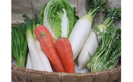 定期便 野菜セット 年6回 2か月に1回×6回 おまかせ 10～15種 旬 朝倉市産 配送不可 離島 詰合せ 