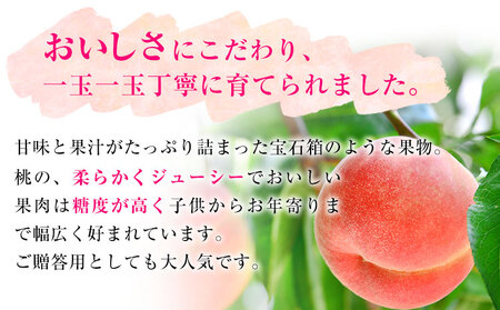 【先行予約】和歌山県産 桃【秀品】約1kg  前商店《6月中旬-7月中旬頃出荷》和歌山県 紀の川市 もも モモ 果物 フルーツ