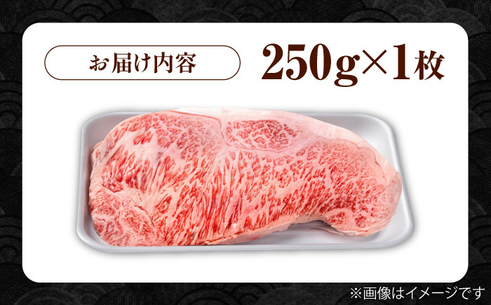 佐賀牛 贅沢サーロインステーキ 250g×1枚（計250g）/サーロインステーキ　黒毛和牛ステーキ　上質ステーキ ブランドステーキ 国産ブランド和牛ステーキ 上質サーロイン 贅沢【株式会社いろは精肉店