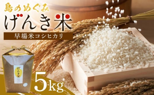 
            島のめぐみ げんき米 (早場米 コシヒカリ) 5kg | 令和7年産 米 お米 白米 精米 ライス 早場米 コシヒカリ 種子島 種子島産 鹿児島県（5kg袋）
          