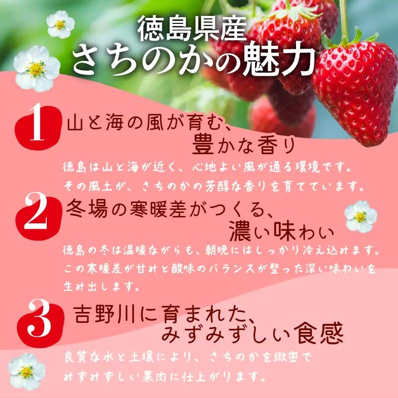 いちご 1kg さちのか 苺