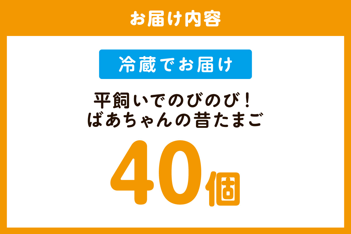平飼いで のびのび養鶏！ばあちゃんの昔たまご（計40個）割れ保証あり 129-B611