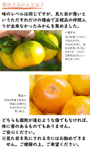 小玉みかん【訳あり】5kg 2S3Sサイズ【下津の極早生みかん】10月～11月にまごころ産直みかんより農園直送※北海道・沖縄・離島への配送不可 小玉 極早生みかん 訳あり 小玉 極早生みかん 訳あり 