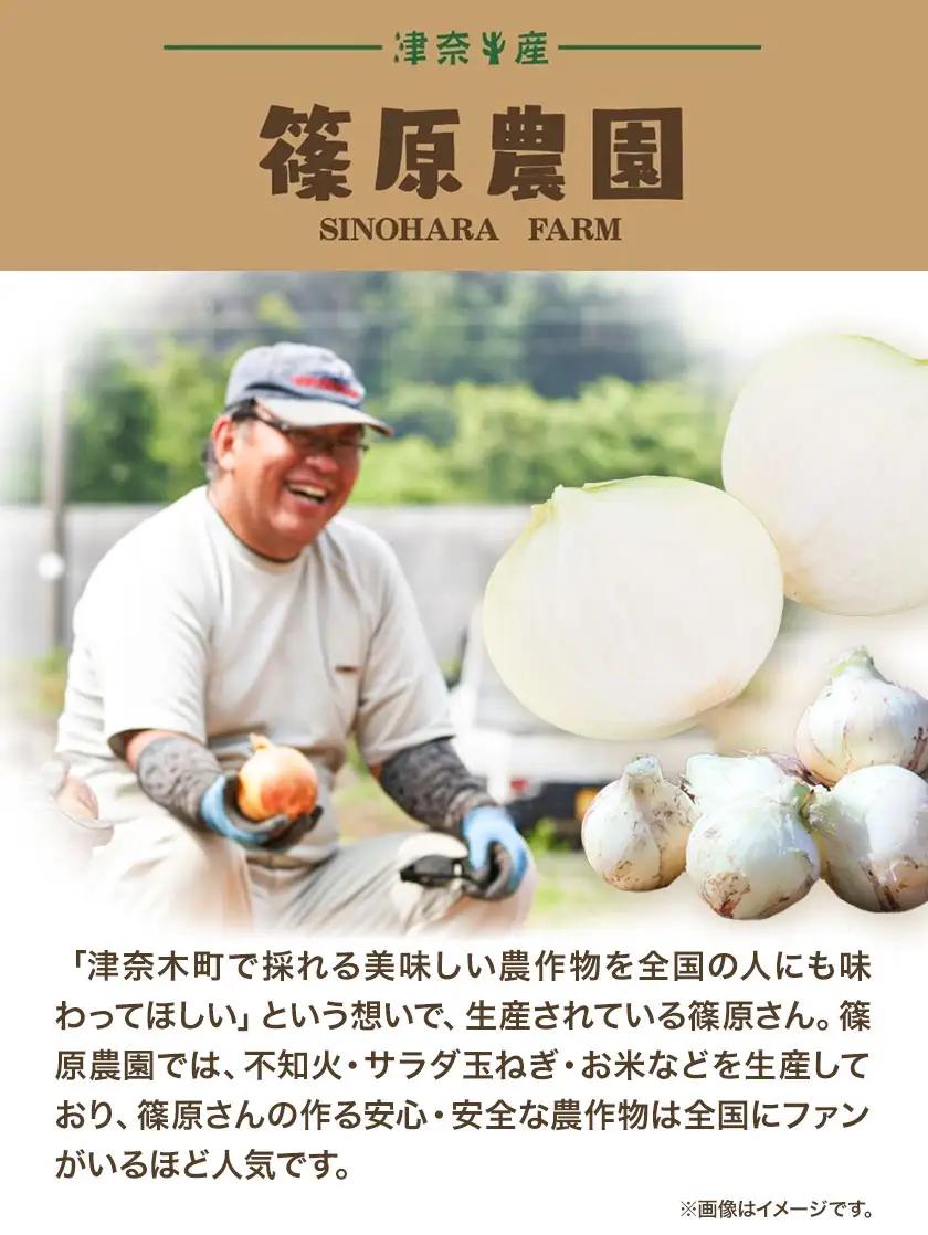 玉ねぎ サラダ 5kg 玉ねぎ