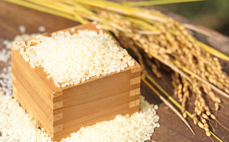 さがびより 五分づき無洗米 4kg (2kg×2袋) / 佐賀県 / 株式会社SUMRICE[41AAAV003]