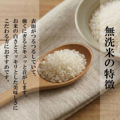 ふるさと納税 小松島市 令和7年産 無洗米 10kg 栽培期間中農薬不使用 米 白米 お米 コメ こしひかり コシヒカリ |  | 01