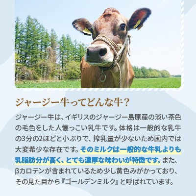 【毎月定期便】【十勝高田牧場】ジャージー飲むヨーグルト 500g×6本セット全12回【配送不可地域：離島】