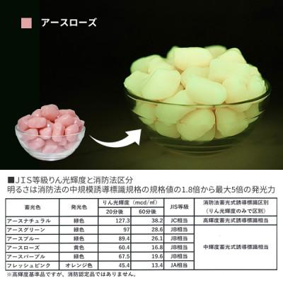ふるさと納税 豊川市 蓄光防犯砂利　リプラスストーン　1kg　【アースローズ】 |  | 03