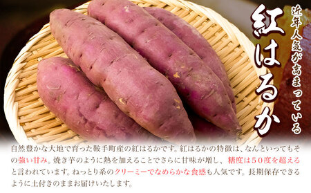 厳選 紅はるか 3kg しょうた農園《12月上旬-3月末頃出荷》福岡県 鞍手町 紅はるか さつまいも 芋 いも イモ サツマイモ