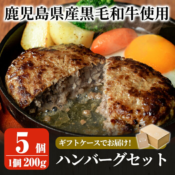 【ふるさと納税】鹿児島県産黒毛和牛ハンバーグセット(200g×5パック)国産 鹿児島県産 肉 牛 牛肉 総菜 冷凍ハンバーグ おかず 簡単 冷凍 個包装 小分け 一人暮らし 牛100%【AKR Food Company】