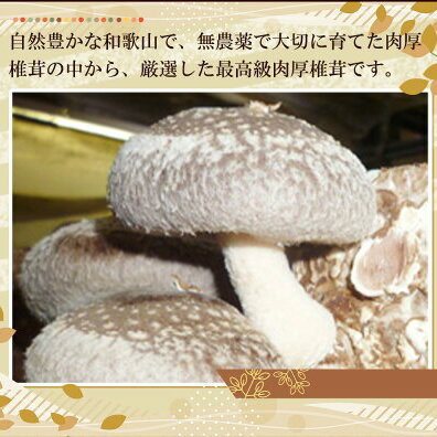 DM6003_最高級 肉厚椎茸 清流椎茸 1kg (200g×5パック)_イメージ2