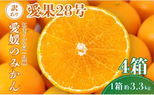 愛果28号 約3.3kg×4箱 ご家庭用 みかん 紅まどんなと同品種 柑橘 愛媛 【2026年11月下旬から順次発送予定】 先行予約 数量限定 人気 伊予市｜E19