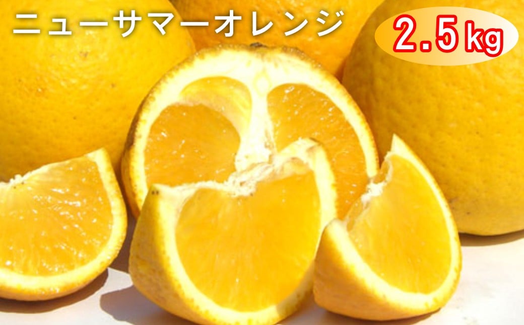 
                  太良町 山本農園の「ニューサマーオレンジ」 2.5kg
                