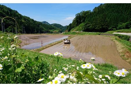 【令和5年産】浜田市金城町産の美味しいコシヒカリ100％【おぐに米】10kg ≪9月下旬以降の発送予定≫ 10キロ 米 おこめ コシヒカリ 白米 精米 特産品 ごはん お取り寄せ 小分け 【170】