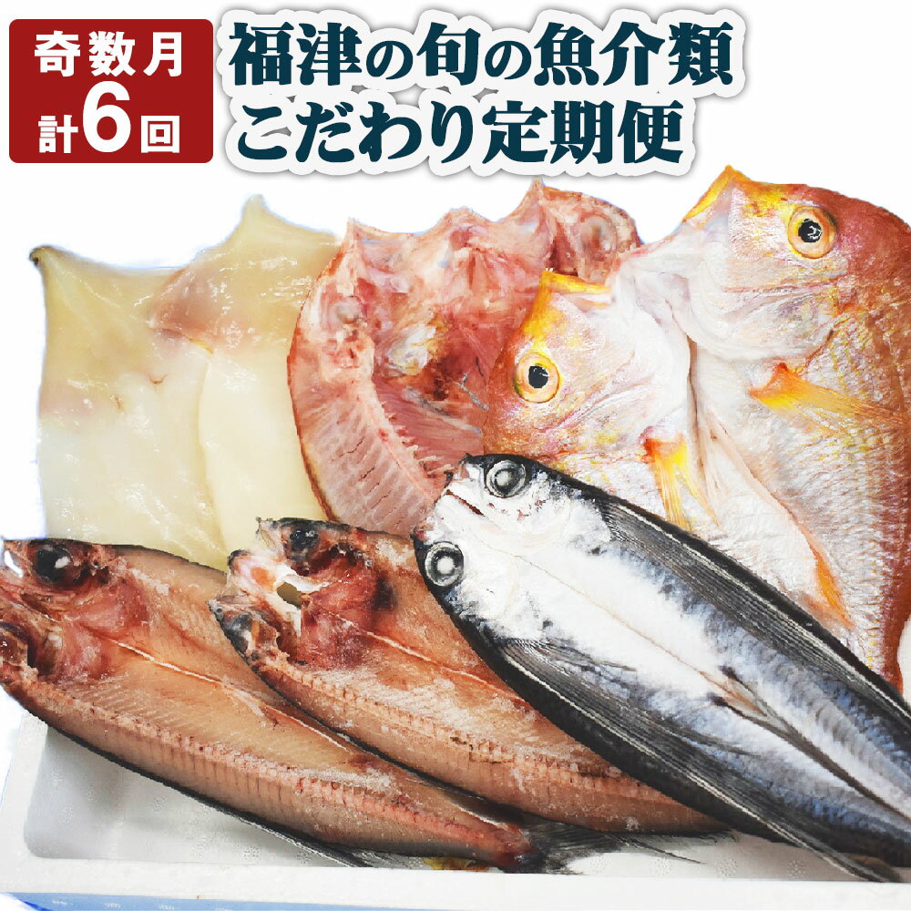 【ふるさと納税】【年6回奇数月定期便】福津の旬の魚介類こだわり定期便 魚 魚介類 イカ サザエ 真鯛 セット 地魚 コウイカ アオリイカ 定期便 新鮮 冷蔵 福津市産 送料無料 [G7019]