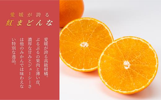 愛媛が誇るブランドみかん「紅まどんな」
