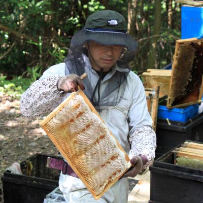 ふるさと納税 由布市 由布市産 「おおいた百花はちみつ」1kg |  | 03