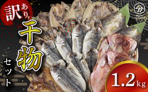 訳あり 干物 詰め合わせ 1.2kg セット ひもの ヒモノ 晩酌 お酒 アジ 金目鯛 キンメ 鯖 サバ ほっけ ホッケ カマス