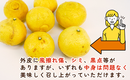 訳あり はるか みかん 約5.5kg ふるくとファーム サイズ混合 かなこちゃん はるかみかん 先行予約 果物 くだもの フルーツ 甘い 爽やか 美味しい 柑橘 蜜柑 mikan 愛媛ミカン 愛媛蜜柑