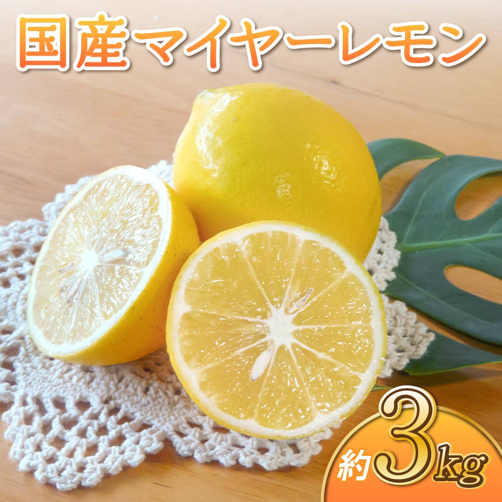 国産マイヤーレモン 約3kg 吉田レモニー レモン 柑橘 果物 くだもの フルーツ 宇城市産 熊本県産 九州産 国産 送料無料