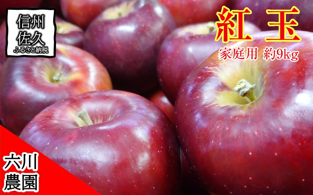 
                  長野県産 紅玉 りんご 家庭用 約9.0kg （36～56玉）〈2026年10月出荷分／北海道・沖縄県・離島は配送不可〉 信州 果物 旬彩 先行予約 季節限定【 当園にて愛情たっぷりに育てたりんご 長野県 佐久市 】
                