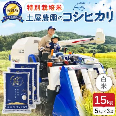 ふるさと納税 佐渡市 【新米】令和8年産 佐渡島産コシヒカリ 白米15kg 土屋農園 農家直送 特別栽培米