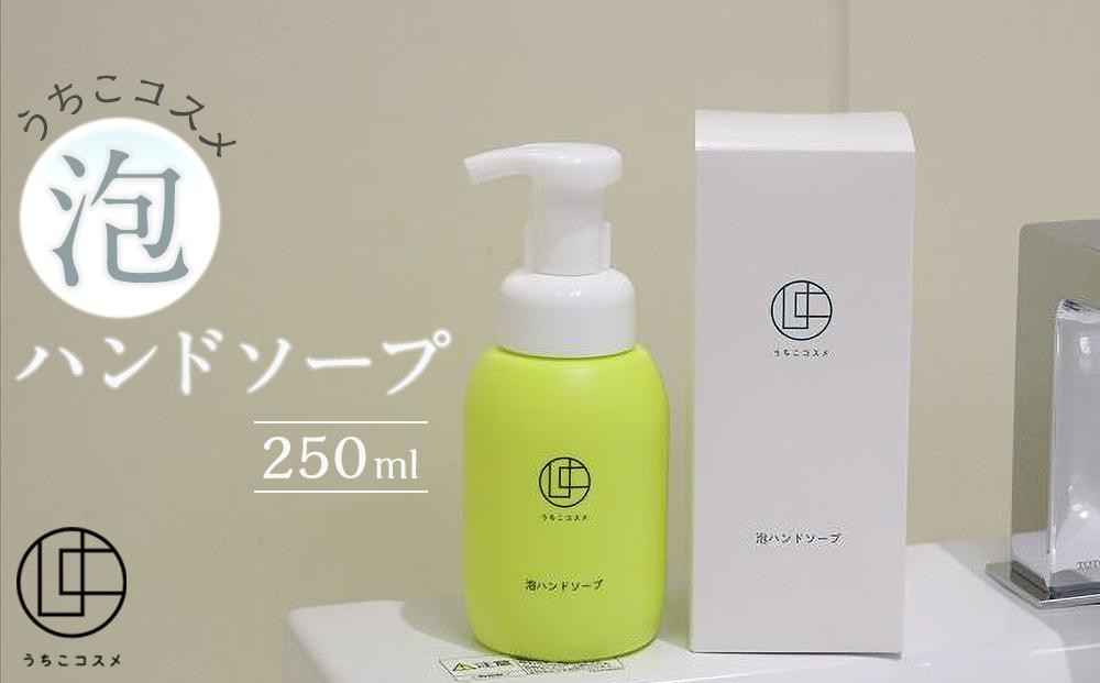 
うちこコスメ泡ハンドソープ 250ｍｌ【スキンケア 洗浄 化粧品 コスメ 美容 人気 おすすめ 送料無料】
