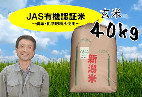 【ふるさと納税】【令和8年産新米予約】JAS 有機認証米 コシヒカリ 玄米 40kg 新潟県 米 こめ コメ 玄米 精米 さいとう農園 新米 新米予約 令和8年度産 10月中旬より順次発送予定