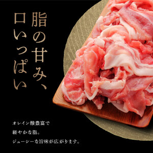 【 定期便 3回 】高級 ブランド 錦雲豚 モモ 切り落とし 1kg | お肉 肉 おにく 豚 ぶた 豚肉 もも モモ肉 もも肉 豚もも 切落し 定期 大分県 中津市